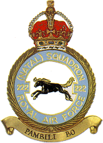 222 Squadron